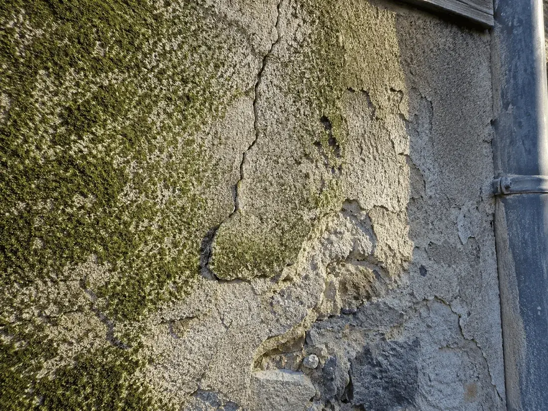 Façade présentant mousses, fissure et enduit effrité, signes qu'un ravalement est nécessaire